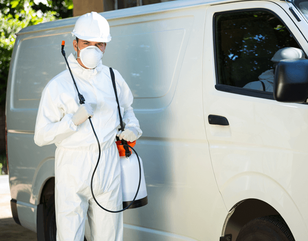 Dedetizadora na Estância Belém