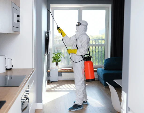 Dedetizadora no Belém Capela Francisco Morato