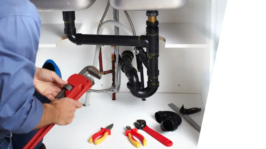 Dedetizadora na Chácara Alto de Belém